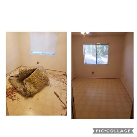Our Gallery